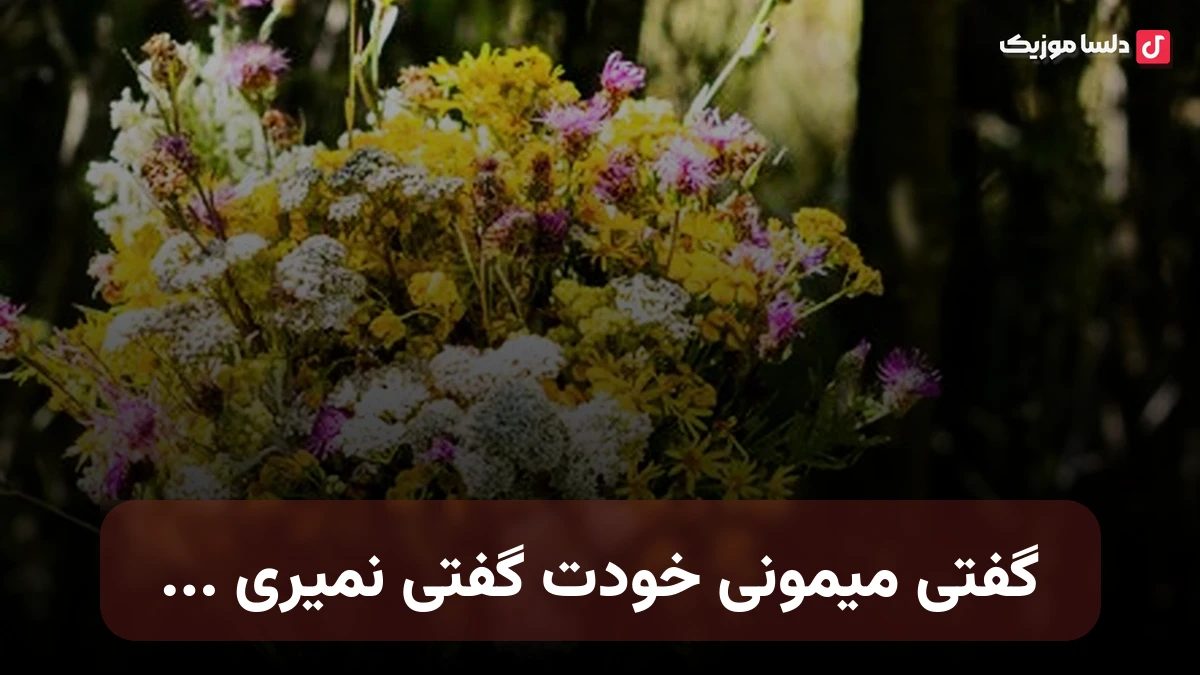 خودت گفتی میمونی خودت گفتی نمیری با صدای زن